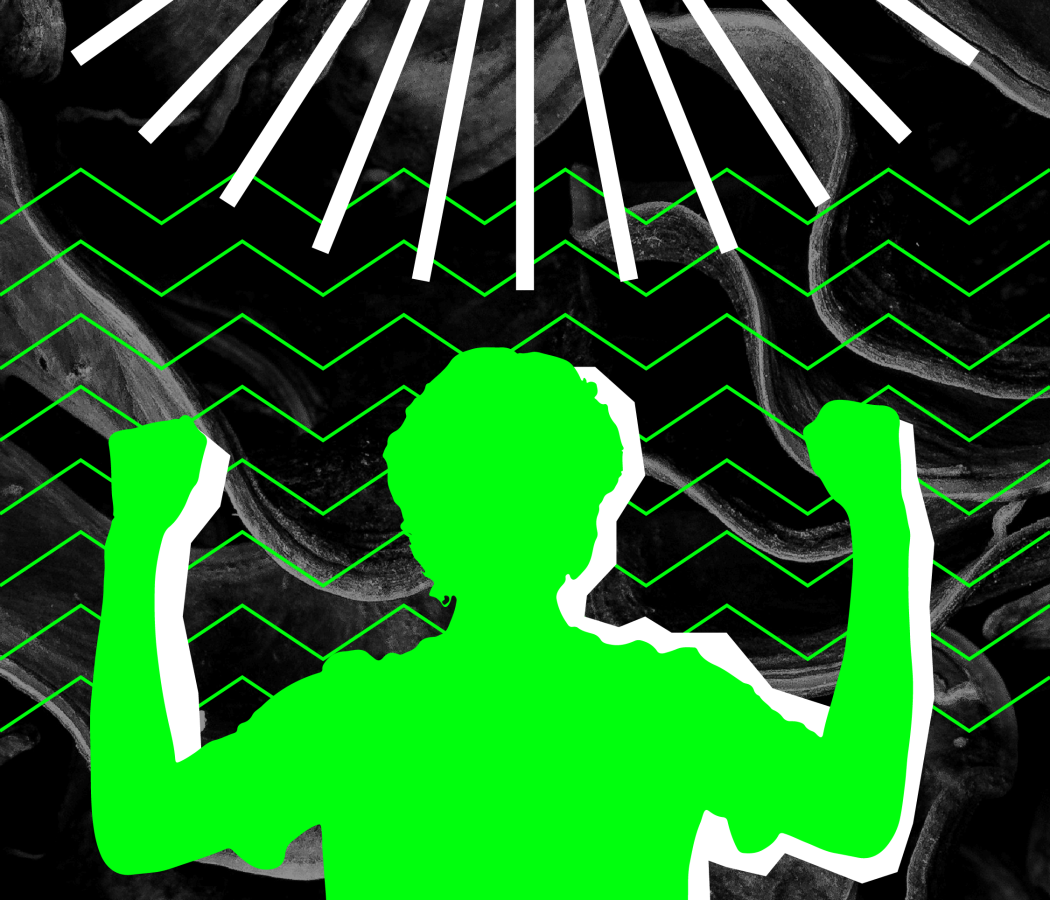 wabe-tipo-universitario-miracolato